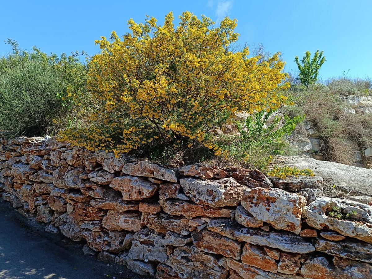 Thracian Cliffs Апартамент Голф Холидей Cavarna Exterior foto